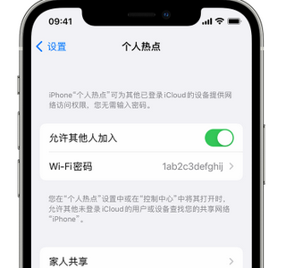 红塔apple服务站点分享iPhone上个人热点丢失了怎么办 