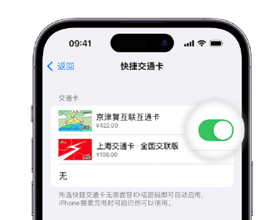 红塔apple维修点分享iPhone上更换Apple Pay快捷交通卡手绘卡面 