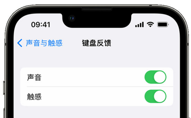 红塔苹果手机维修分享iPhone 14触感键盘使用方法 