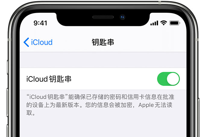 红塔苹果手机维修分享在 iPhone 上开启 iCloud 钥匙串之后会储存哪些信息 